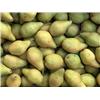 Pear 'Xenia' 600g