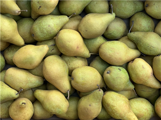 Pear 'Xenia' 600g