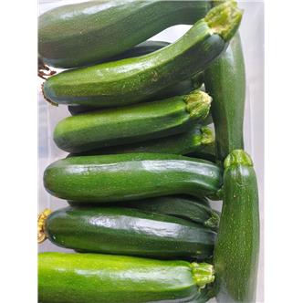 500g Organic Courgettes