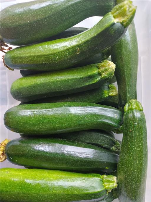 500g Organic Courgettes