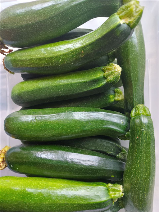 500g Organic Courgettes -In Season NOW