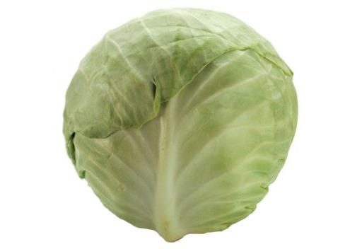 Organic White Cabbage