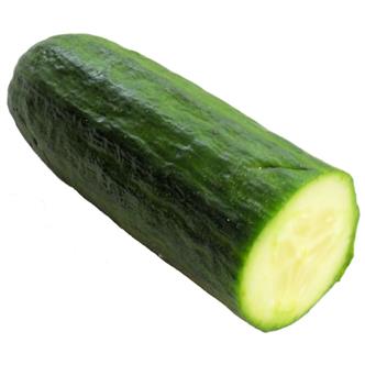 Mini Cucumber