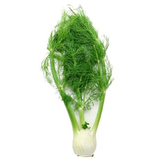 Organic Fennel