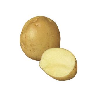 Organic Potato Marfona