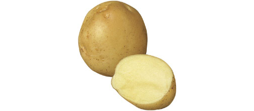 Organic Potato Marfona