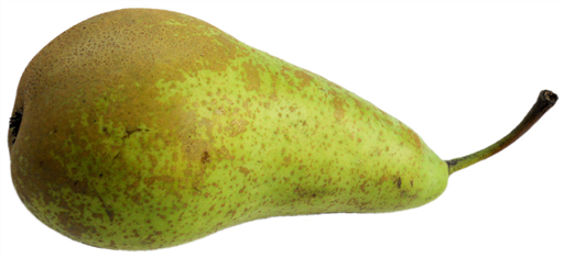 Organic Conference Pear