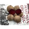 Beetroot Red 1kg Organic