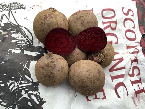 Beetroot Red 1kg Organic