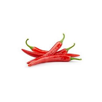 Chilli Red Organic x 4