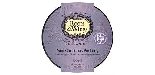 Mini Gluten Free Xmas Pud Organic 100g