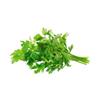 Parsley Curley Fresh punnet organic