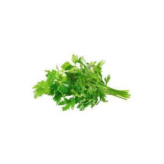 Parsley Curley Fresh punnet organic