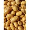 Charlotte potatoes 1kg Vitality Farm