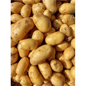 Charlotte potatoes 1kg Vitality Farm