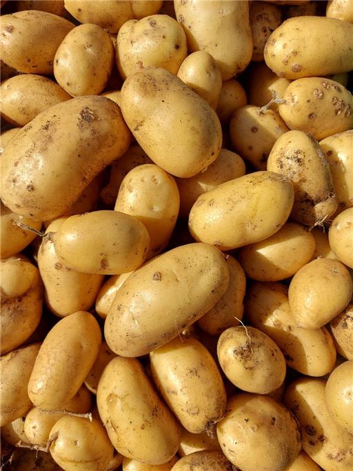 Charlotte potatoes 1kg Vitality Farm