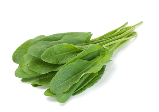 Sorrel fresh 50g