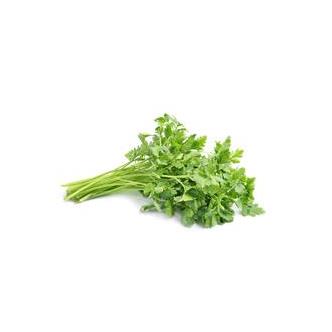 Coriander Fresh Organic punnet