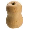 Organic Butternut Squash