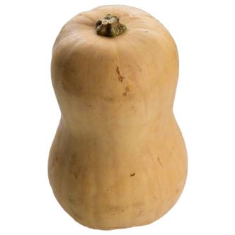 Organic Butternut Squash