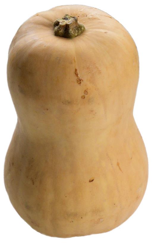 Organic Butternut Squash