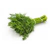 Dill Fresh punnet organic