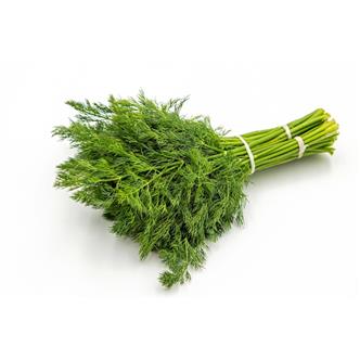 Dill Fresh punnet organic