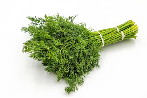 Dill Fresh punnet organic