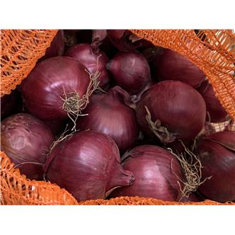 Red Onions Organic