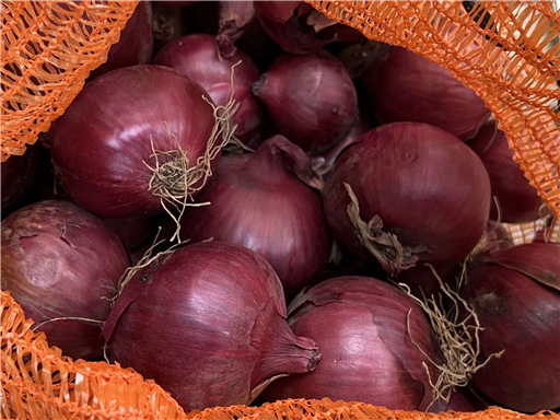 Red Onions Organic