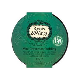 Organic mini XMas Pud 100g