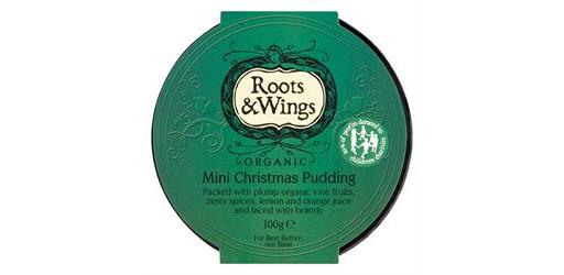 Organic mini XMas Pud 100g