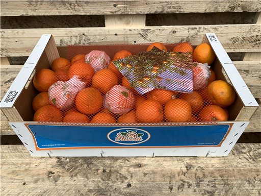 Seville Oranges 600g