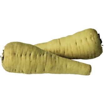 Organic Parsnips