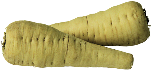 Organic Parsnips