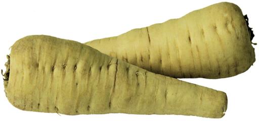 Organic Parsnips (washed)