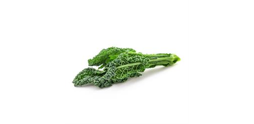 Cavolo Nero Kale Organic bunch