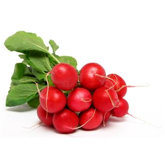 Radish - bunch