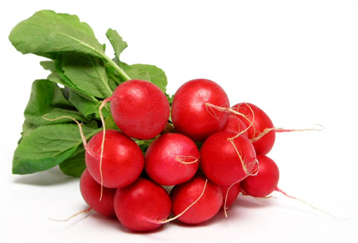 Radish - bunch