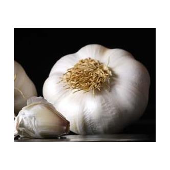 Organic Garlic bulb