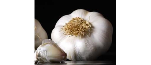 Organic Garlic bulb
