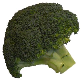 Organic Broccoli