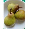 Seasonal 'Williams' type pear
