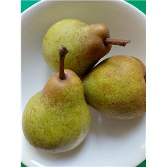 Seasonal 'Williams' type pear