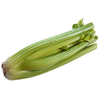 Celery