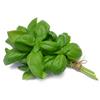 Basil Fresh bunch