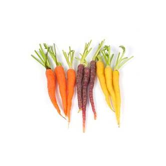 Rainbow carrots bunch organic