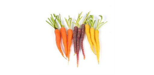 Rainbow carrots bunch organic