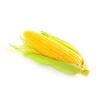 Organic Sweetcorn Cob