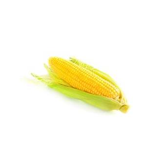Organic Sweetcorn Cob